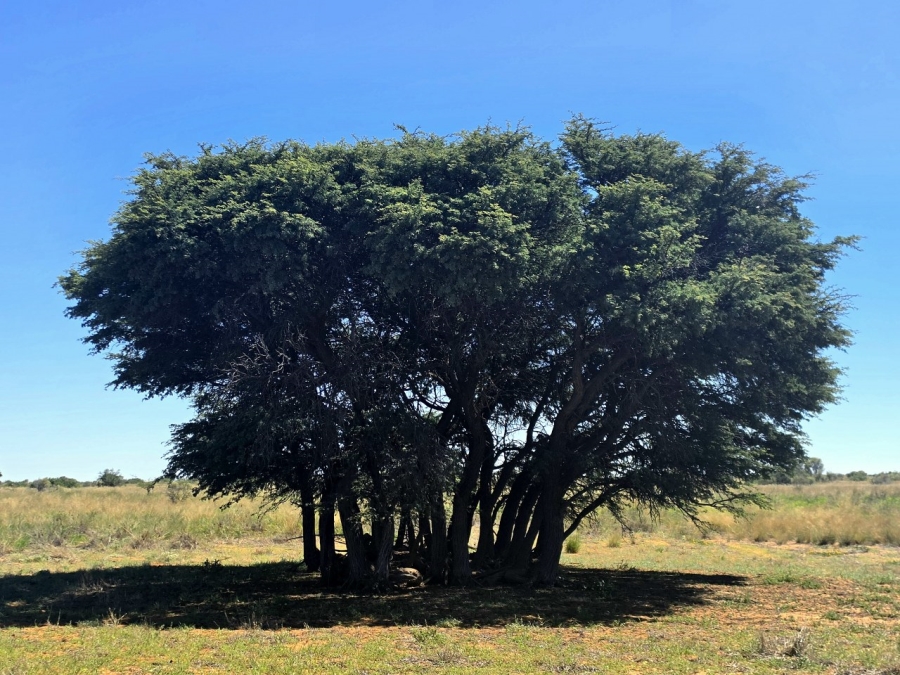 Commercial Property for Sale in Olifantshoek Rural Northern Cape